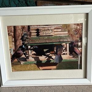 Handcrafted Framed and Matted Birdhouse Photo